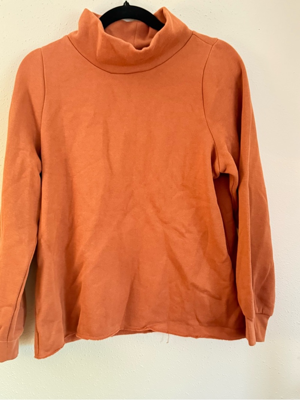 Madewell Rust Crewneck Sweatshirt